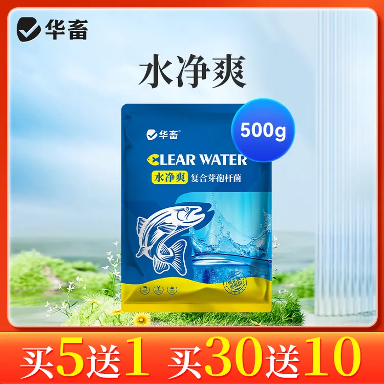 【抢】免红糖芽孢复合芽孢杆菌水净爽鱼虾蟹水产养殖调水净水 S商品图