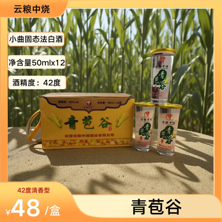 云南特色小酒云粮中烧青苞谷酒一盒12杯50ML42度清香型白酒口粮