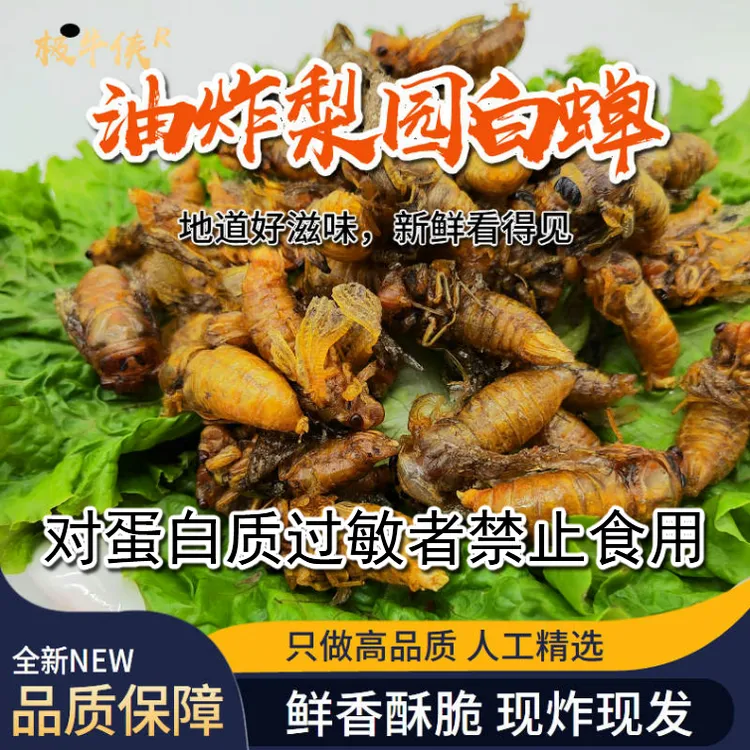 山东油炸梨园大个白蝉脱壳嫩知了鲜香酥脆爬叉高蛋白开袋即食加热