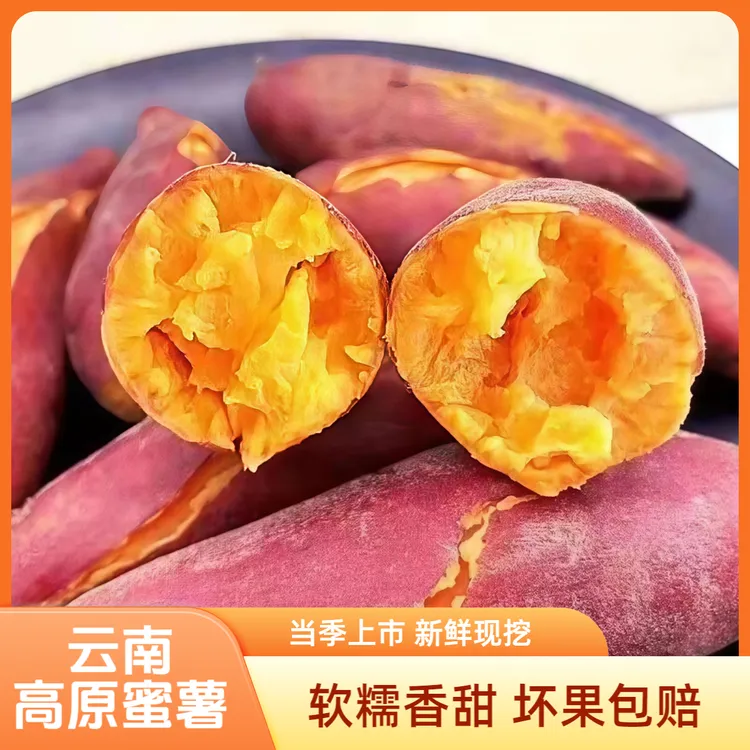 云南沙地高原蜜薯新鲜糖心红薯小香薯烤地瓜当季正宗红薯软糯香甜