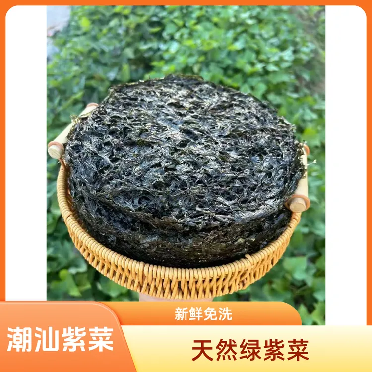 潮汕绿紫菜新鲜免洗无砂 紫菜蛋花汤 凉拌紫菜 紫菜炒饭 散装家用