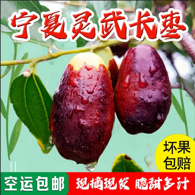 灵武长枣【空运包邮】产地直发新鲜脆甜多汁皮薄肉厚应季水果红枣商品图