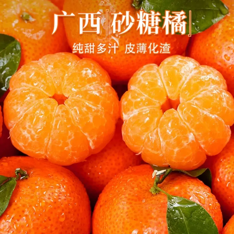 正宗广西桂林砂糖橘5斤装