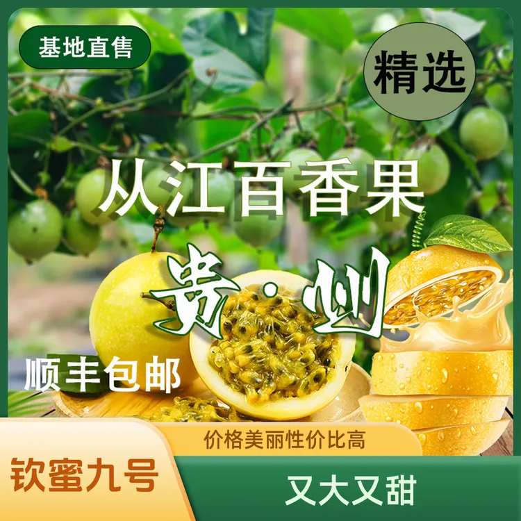 贵州从江高山黄金百香果当季大果特大果饱满多汁整箱批发鲜甜开果
