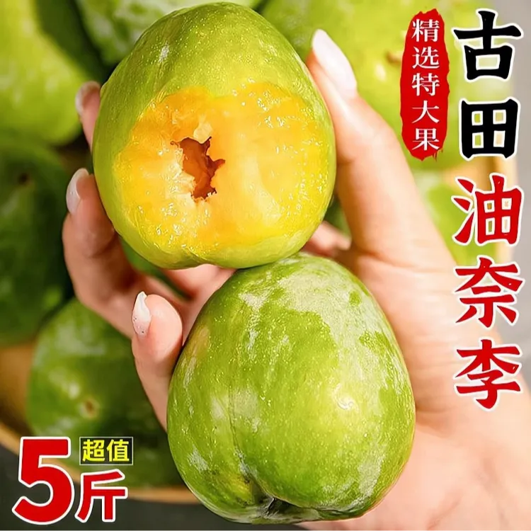【顺丰】正宗福建古田油奈李子新鲜水果脱骨李酸甜脆李脱骨现摘包邮