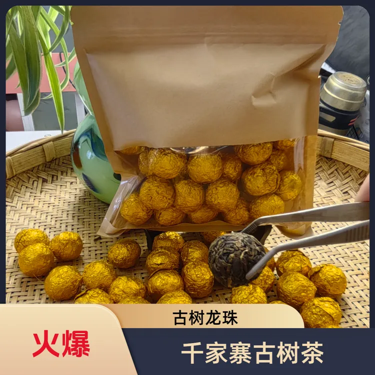 千家寨秘境茶王森林古树茶