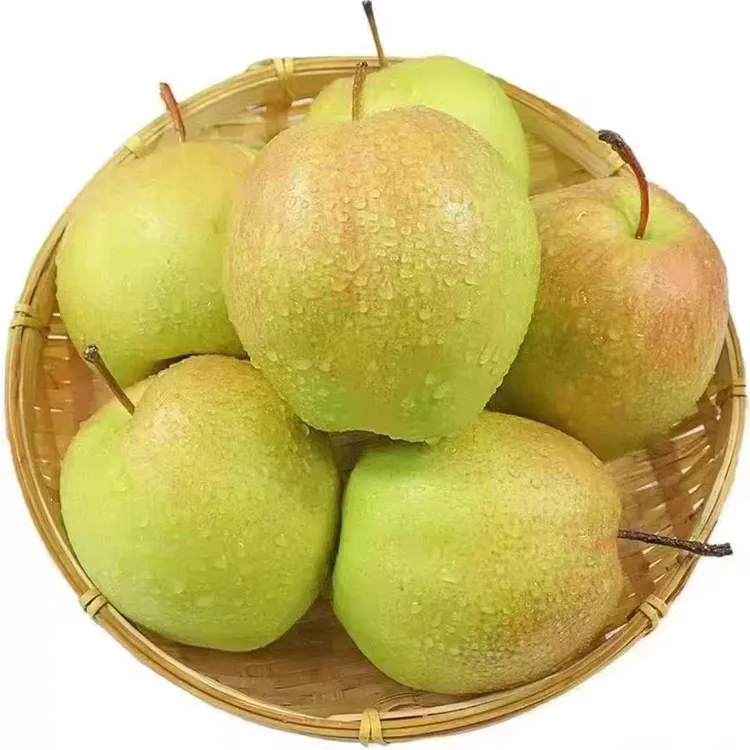【小明正能量】正宗山西隰县玉露香梨新鲜脆甜多汁精选香甜皮薄原产