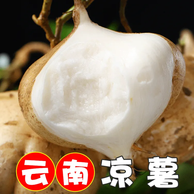 【云南地萝卜】新鲜凉薯地瓜白瓜土瓜山地沙葛生态地雪梨现挖现发