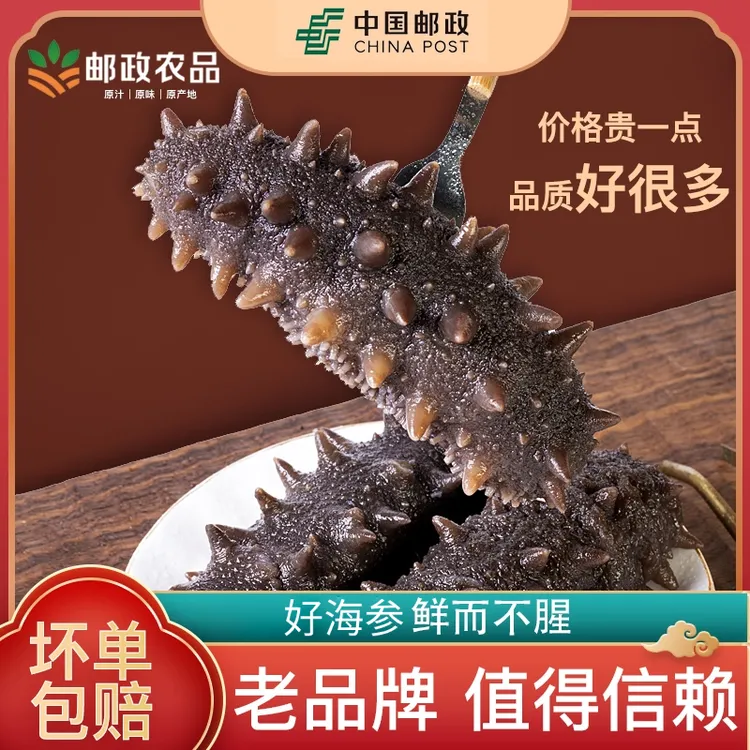 【邮政农品】鲜蒸海参2500g共5斤开袋即食孕妇送礼海参即食