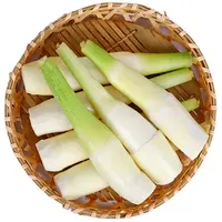 净茭瓜 约270-300g/份