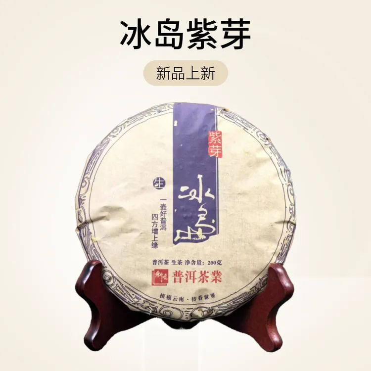 2021年料云南古树普洱茶冰岛紫芽茶叶生茶饼专用普洱茶叶