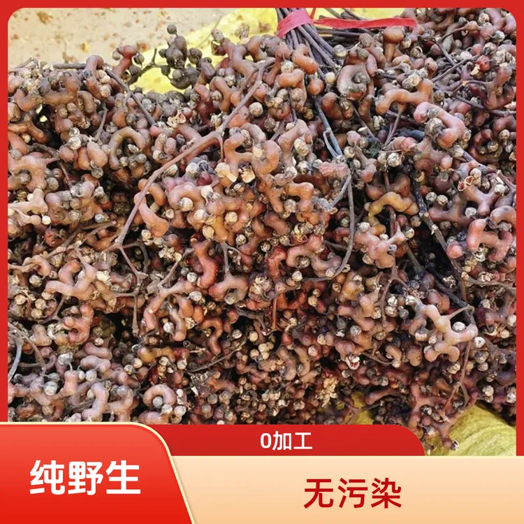 深山采摘的野生干拐枣可泡酒可煮茶（野生的.生吃不好吃）。