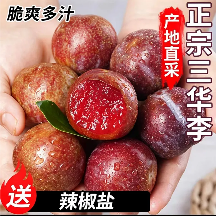 （现摘现发）银妃三华李子红心李子应季新鲜水果李子孕妇水果酸脆商品图