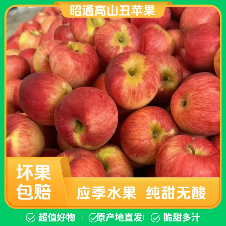 正宗云南昭通冰糖心丑苹果新鲜现摘脆甜多汁水果