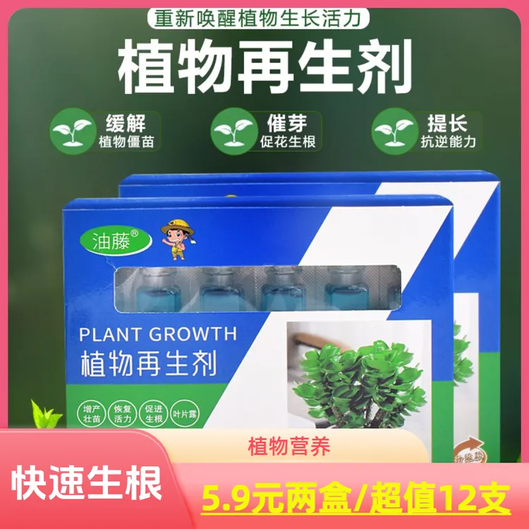 【两盒装/12支】植物再生剂绿植盆栽通用型植绿植花卉盆栽营养液商品图