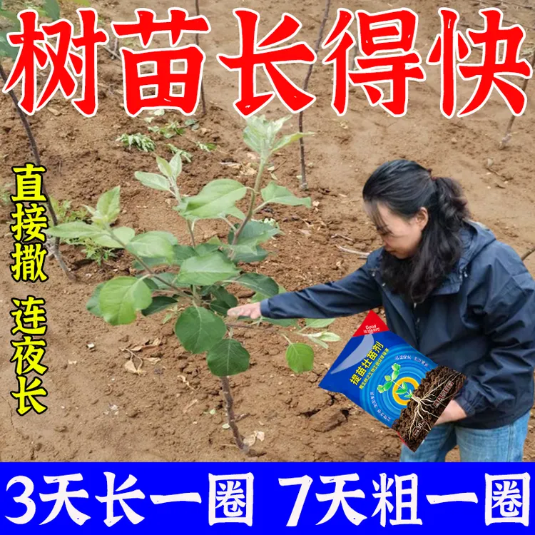树木生长素猛长速特快果树快速生长专用肥料营养液生根剂移栽树苗