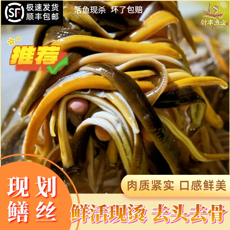 新鲜鳝丝鲜活大条到手2斤顺丰快递当天发货