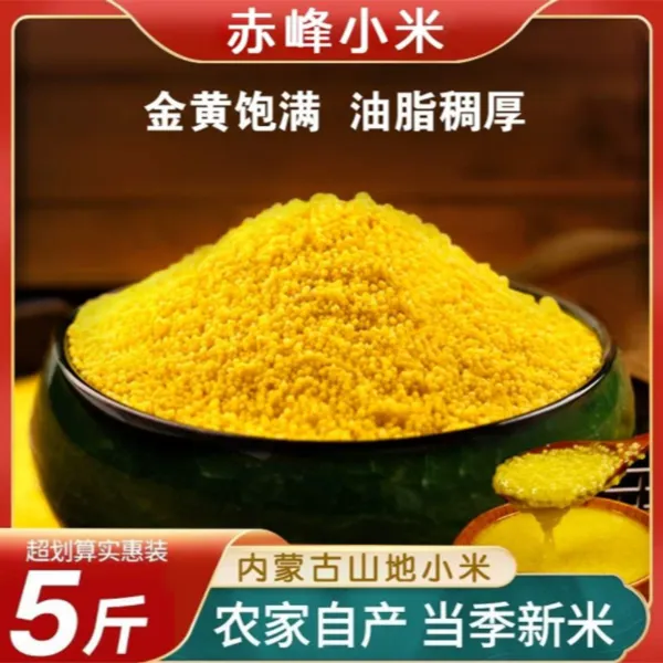 【25年新米】内蒙赤峰大金苗糯黄小米油小米优质月子米杂粮精选