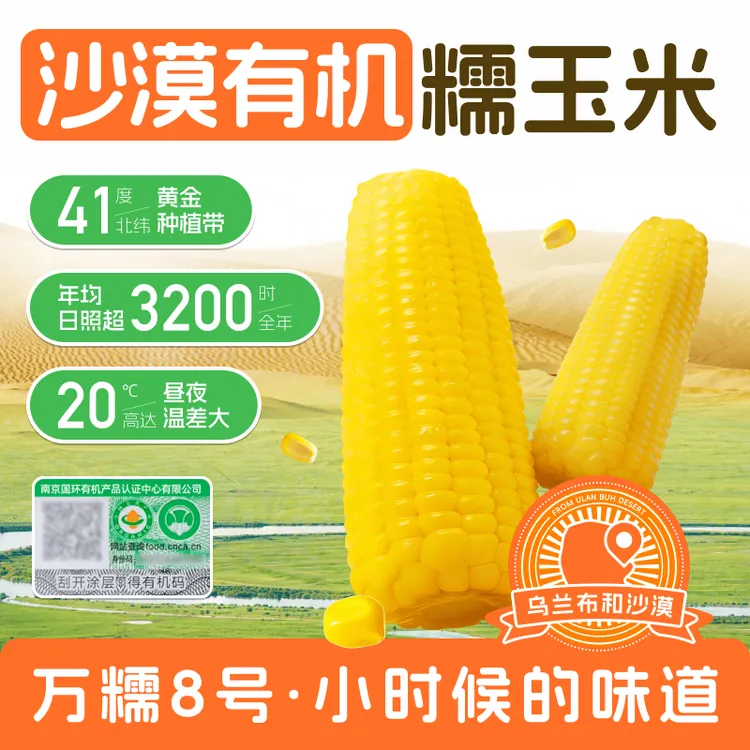 内蒙古乌兰布和沙漠有机黄糯玉米软糯甜糯黄糯粗粮代餐轻食早餐