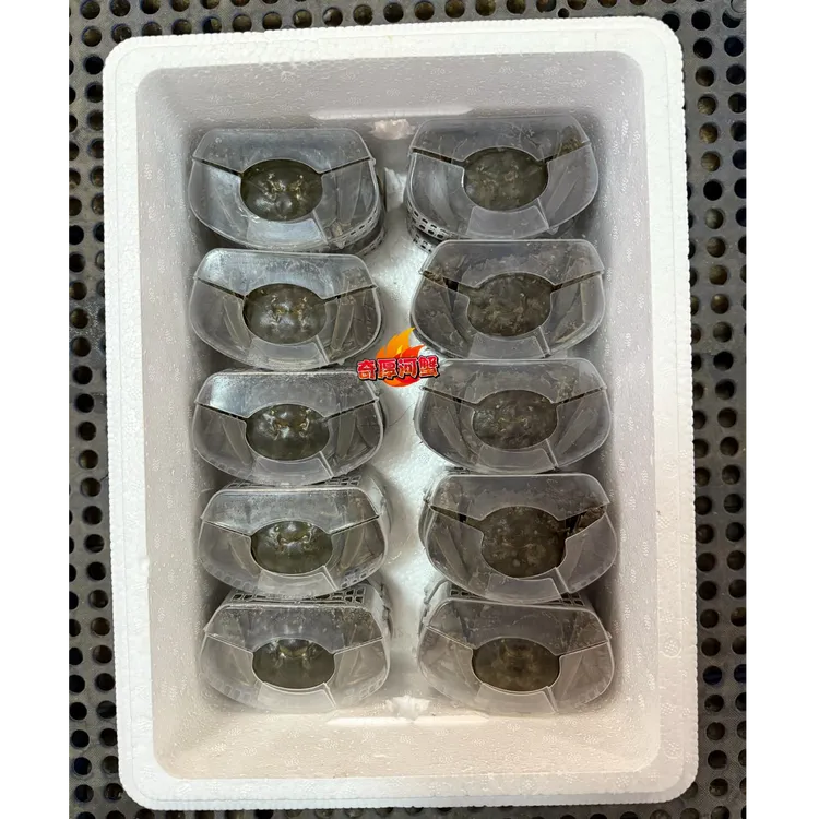 【活蟹】盘锦河蟹精装送礼款（1.1-1.3两）公母各10只到手20只