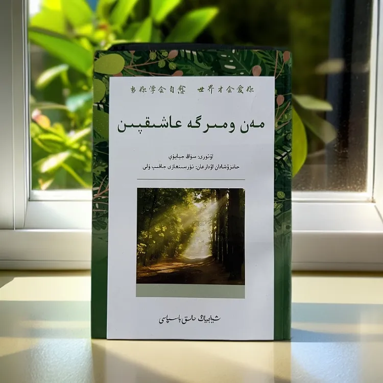 当你学会自愈，世界才会爱你（哈萨克文）宋佳玉著 译者吐尔逊哈孜