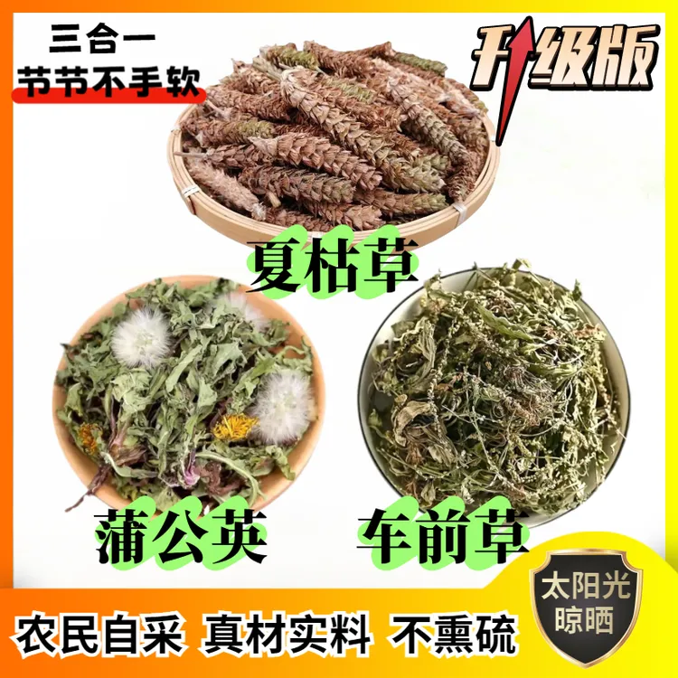 【升级组合】正宗夏枯草车前草蒲公英套装新品干货 自然晾晒 无熏硫