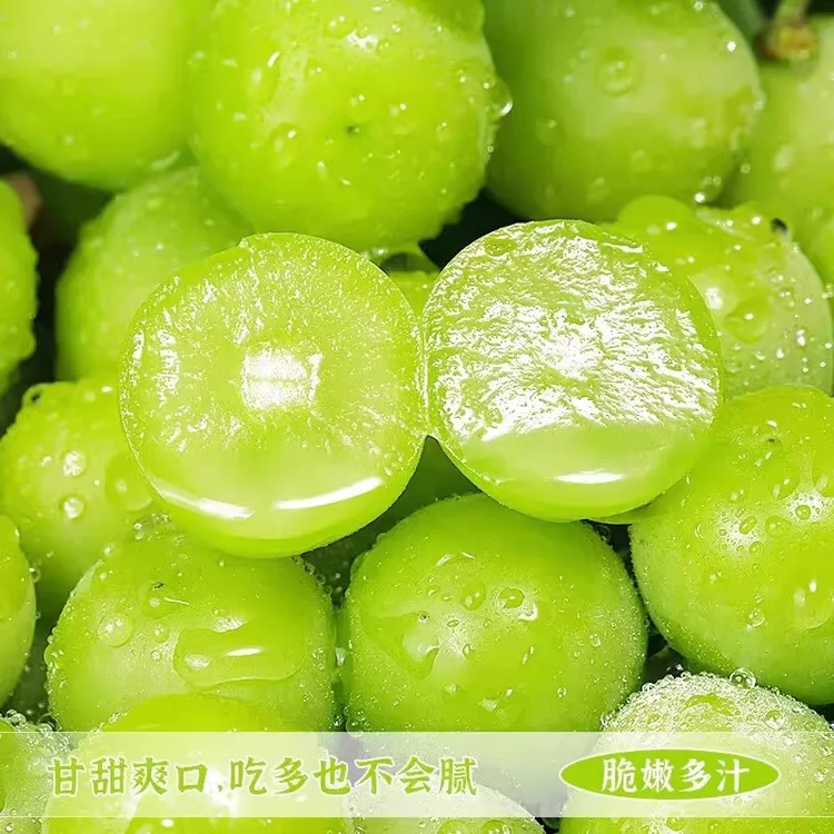 京东包邮新鲜当季阳光玫瑰葡萄脆甜葡萄新鲜水果果园发货脆甜多汁