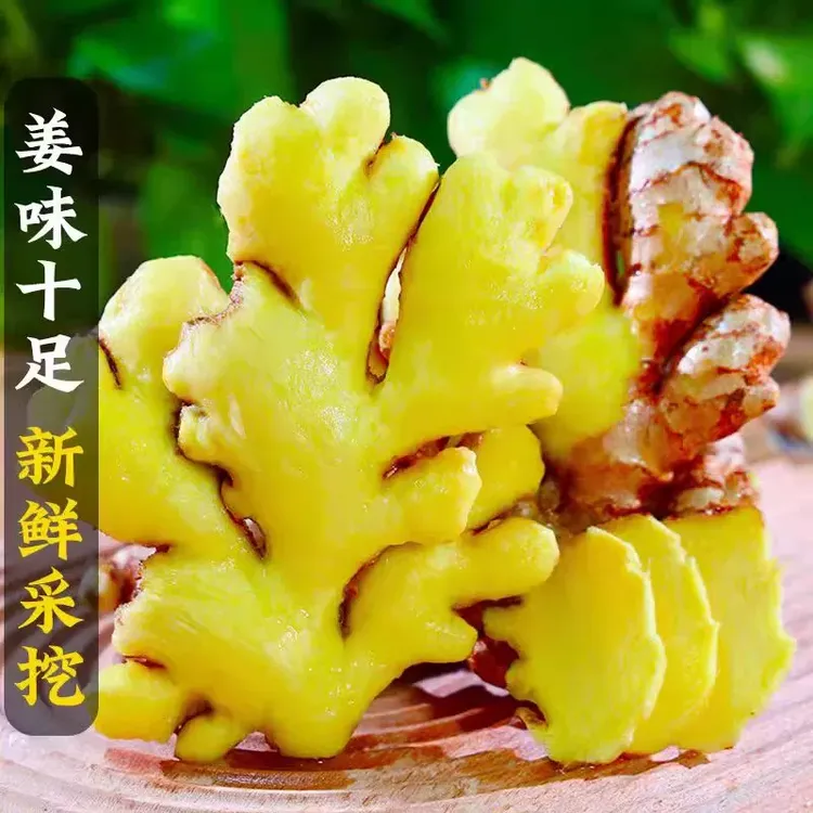 云南正宗高山小黄姜老生姜老姜3斤/5斤/9斤月子姜土姜沙姜老黄姜