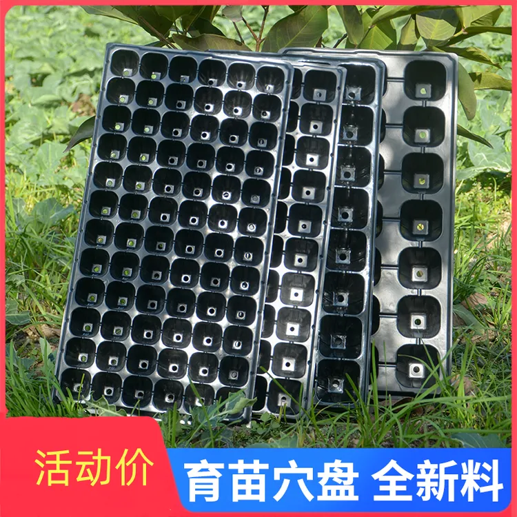育苗盘育苗盆穴盘塑料杯种植神器营养钵蔬菜育种扦插盒农用托盘盆