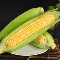 【4个】带皮鲜玉米约1600g±200g