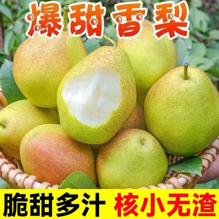 红香酥梨正宗香梨应季新鲜梨子现摘脆甜皮薄酥梨整箱包邮带箱3斤A