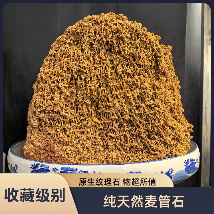 麦管石天然原石上水石鱼缸盆景微景观假山原生自然纹理吸水石包邮