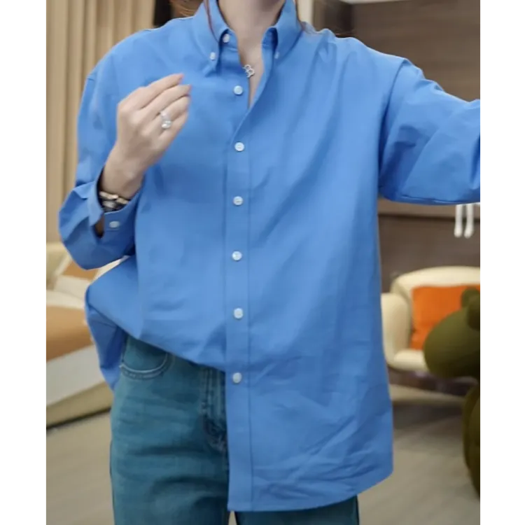 设计感刺绣蓝色长袖衬衫女2025春季新款宽松气质时尚休闲百搭衬衣