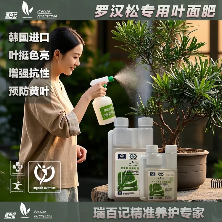 罗汉松氨基酸叶面肥防黄枯落促进长芽罗汉松专用营养液肥料