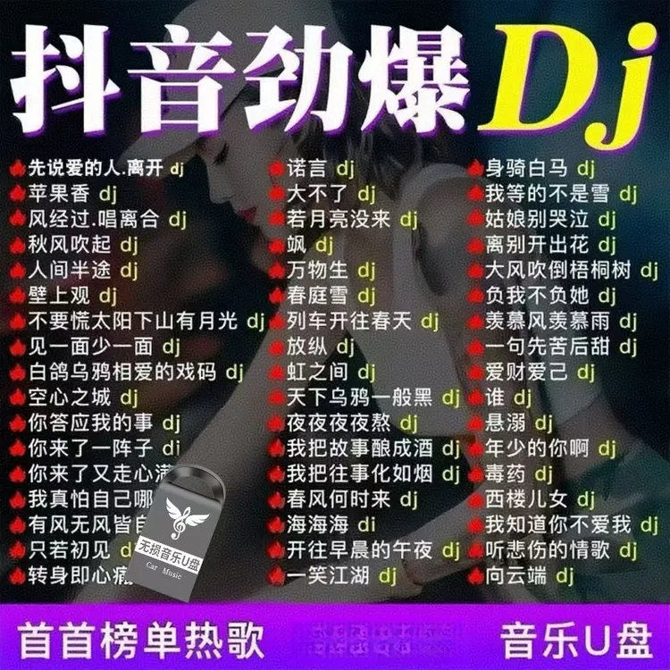 2025重低音DJ舞曲车载音乐u盘抖音新歌中文热门dj劲爆嗨曲MP4优盘