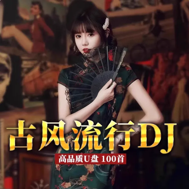 车载u盘古风流行dj抖音新歌热门新歌曲无损高音质车用MP3音乐优盘