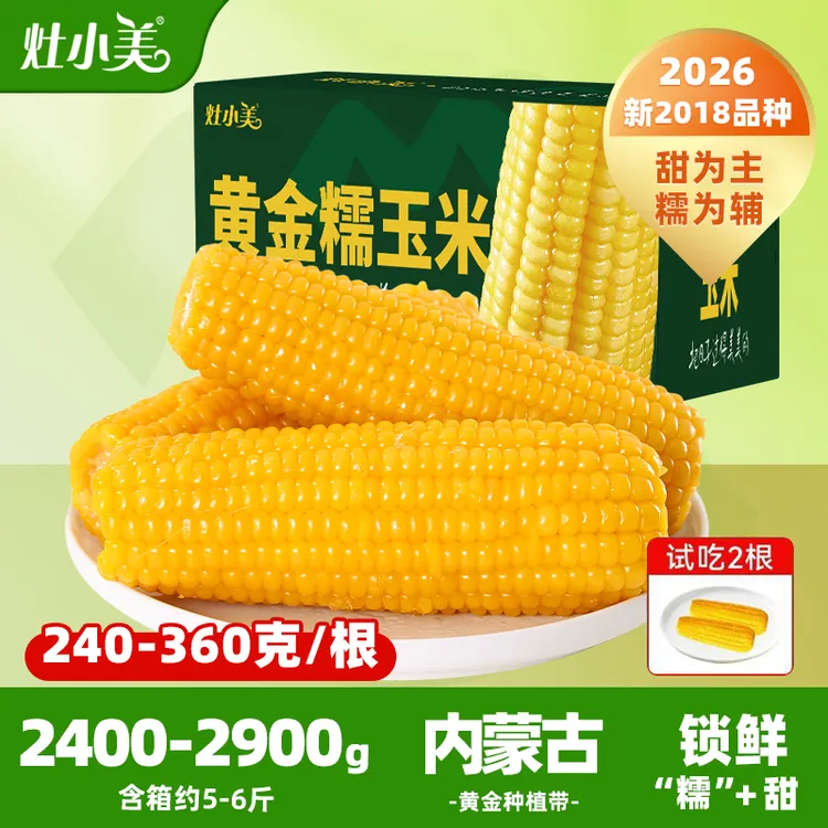 【试吃两根】灶小美黄糯玉米棒头茬粘苞米新鲜营养早餐低脂粗粮非东北非即食商品图