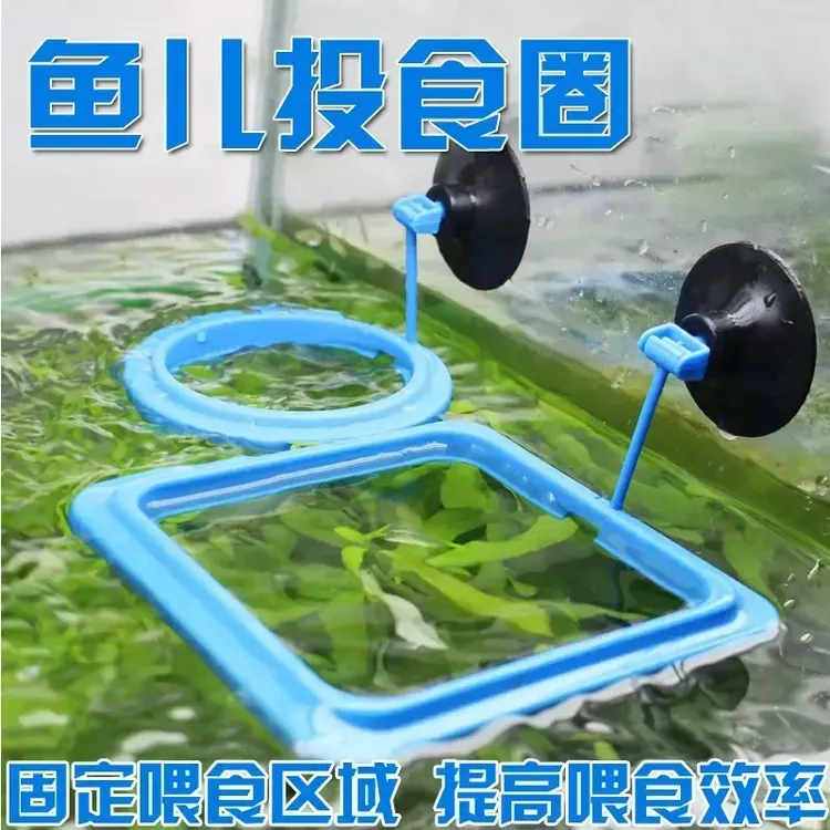 【鱼缸必备】鱼儿投食圈水族箱鱼缸鱼食鱼饲料喂食圈投喂圈喂食器