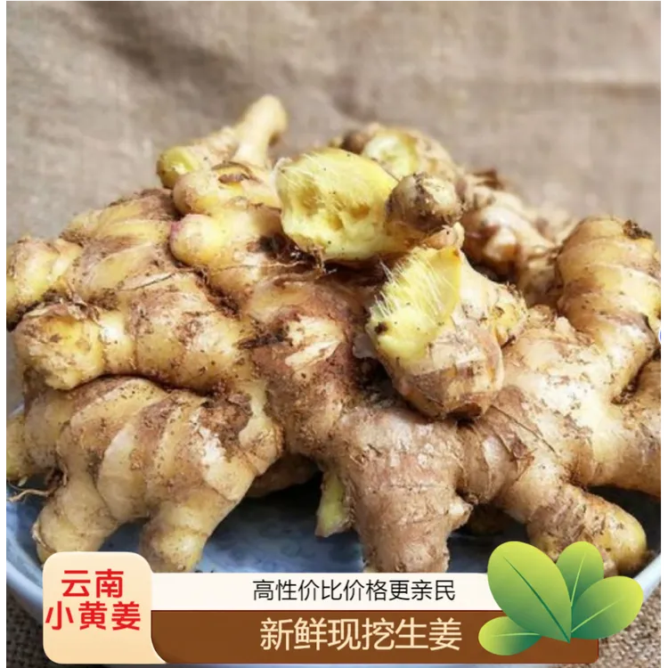 【品质精选】云南源产地小黄姜新鲜现挖现发小黄姜新老姜批发调味品