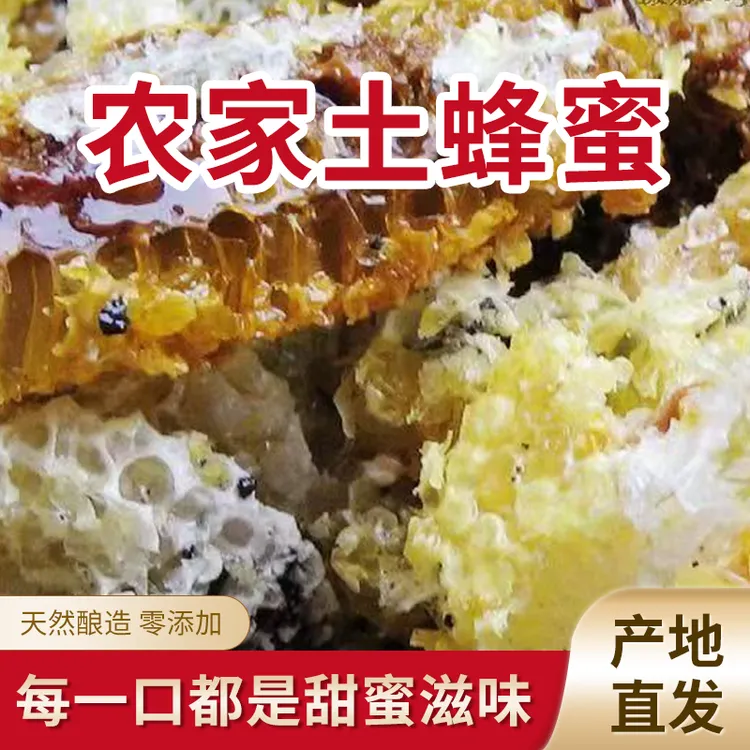 农村土蜂蜜无添加美味营养健康500g装农家直销