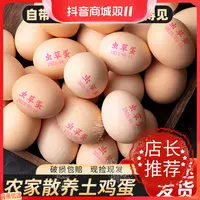 10枚大蛋50-55g农家高山散养土鸡蛋虫草蛋谷饲黄玉米