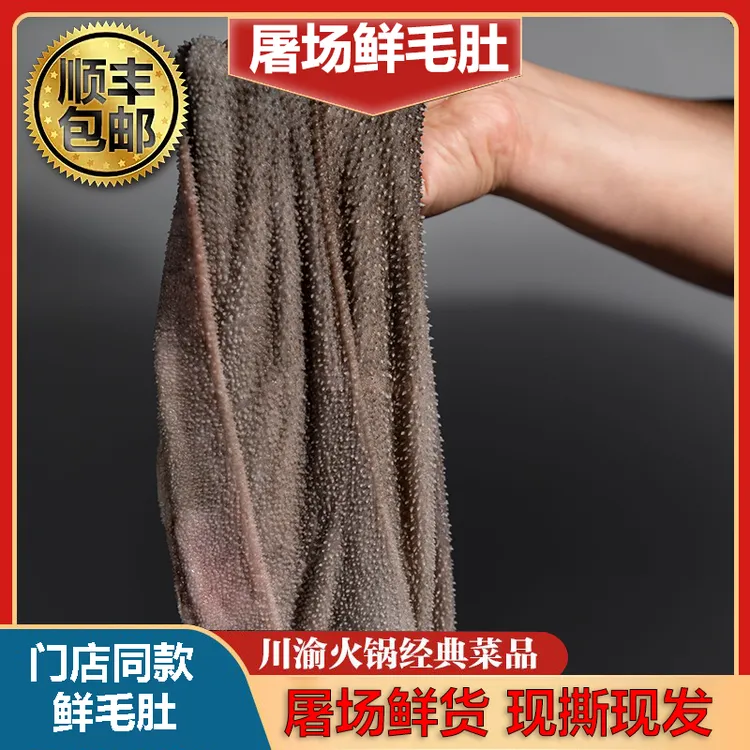 优选新鲜屠场毛肚火锅必备脆爽鲜嫩（纯叶片） 固形物含量95%以上