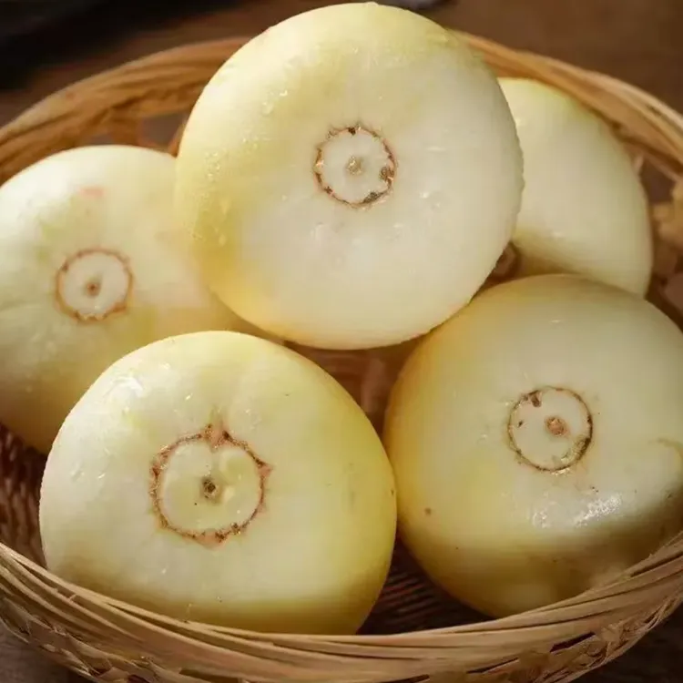 三宝爸甄选小蜜蜂甜瓜脆甜多汁