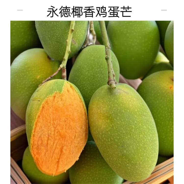 永德椰香鸡蛋芒就树熟2500g/5000g