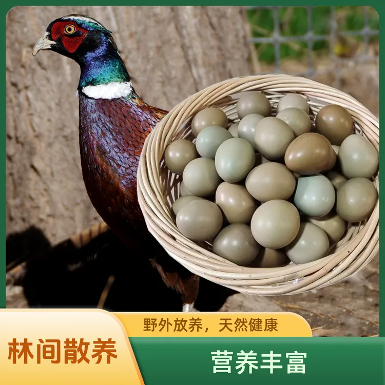新鲜正宗七彩山鸡蛋农家户外野鸡蛋散养野鸡蛋