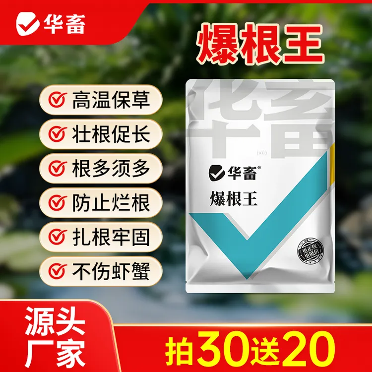 【拍10送5】水产爆根王肥水生根壮茎水体改良底质防抑青苔防挂脏S商品图