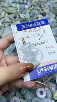 【闪购商品】翡翠颈饰未镶嵌天然A货翡翠