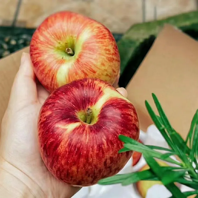 【小荷鲜】云南红露苹果