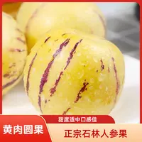 石林正季人参果皮薄黄肉圆果 果香浓郁 新鲜清甜多汁