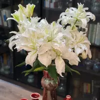 【源头优选】白雪公主重瓣百合-云南直发鲜花家居水养插花鲜切花